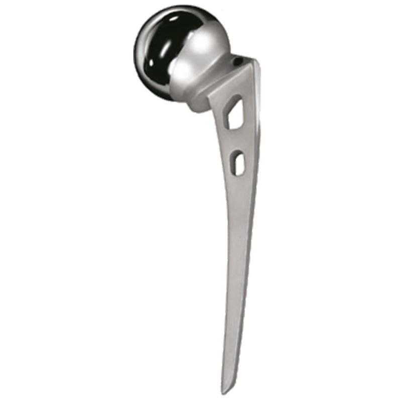 AUSTIN MOORE HIP PROSTHESIS, Standard, Satin Finish